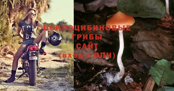 шишки Зерноград