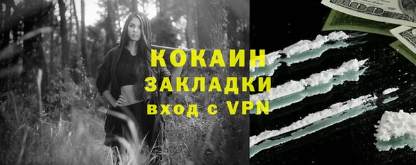 соль курить ск Каменка