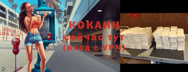 ешки Инсар