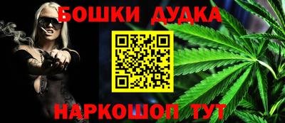 крисы Кулебаки