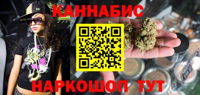 крисы Кулебаки