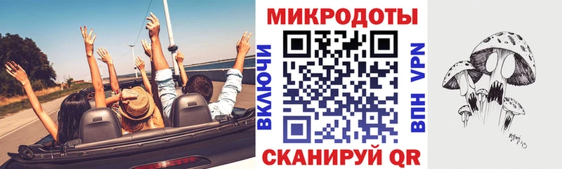 Галлюциногенные грибы Psilocybine cubensis  Костомукша 