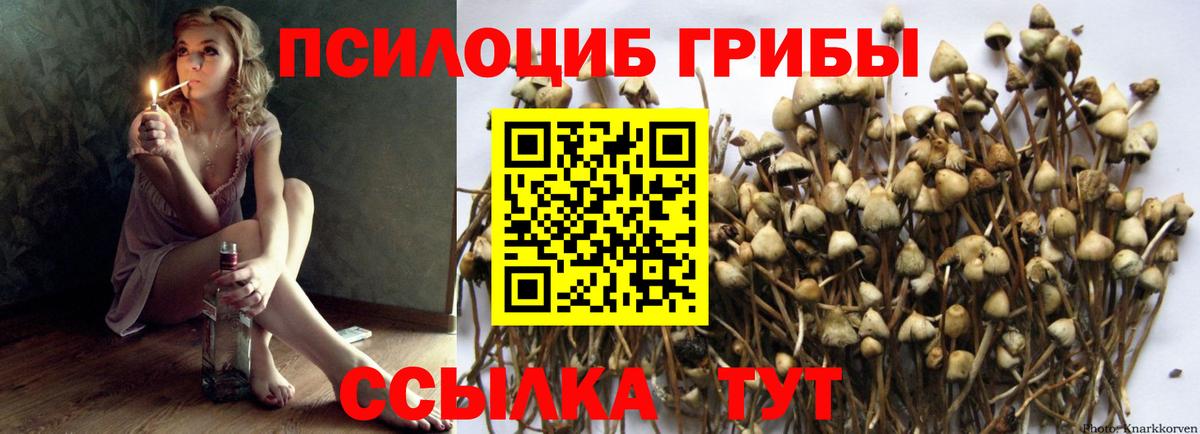 Псилоцибиновые грибы ЛСД  Вход с VPN  Костомукша 
